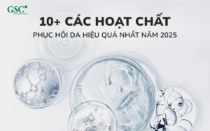 10+ các hoạt chất phục hồi da hiệu quả nhất năm 2025