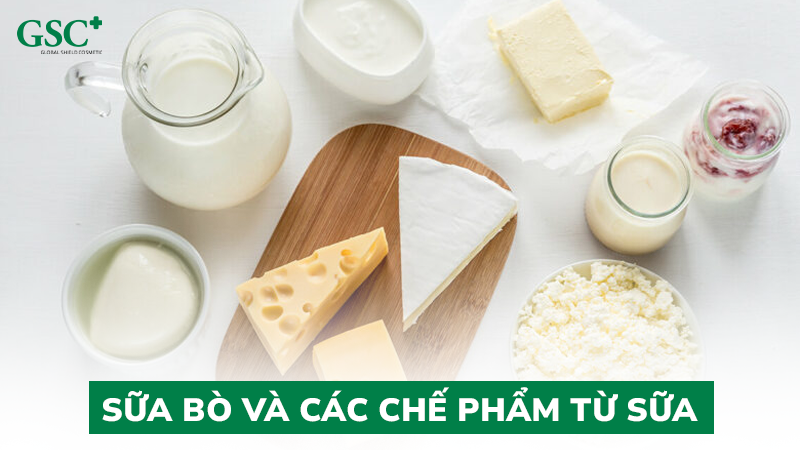 Sữa bò và các chế phẩm từ sữa