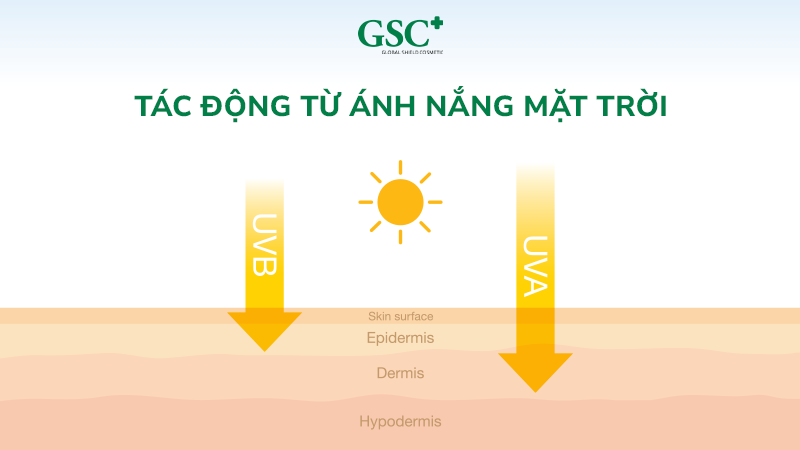 Tác động từ ánh nắng mặt trời