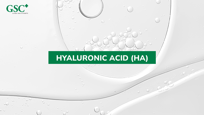 Hyaluronic Acid (HA) - Hoạt chất hút ẩm ưu việt