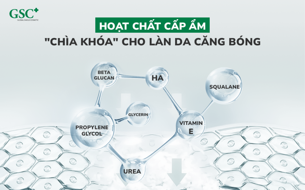 Hoạt chất cấp ẩm