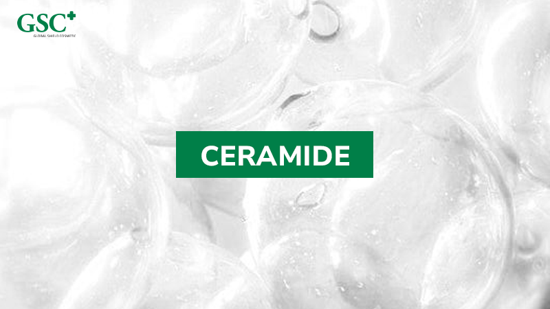Ceramide