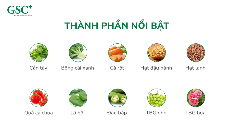Thành Phần Nổi Bật