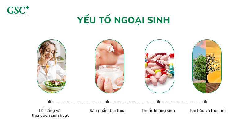 Yếu tố ngoại sinh ảnh hưởng đến hệ vi sinh trên da