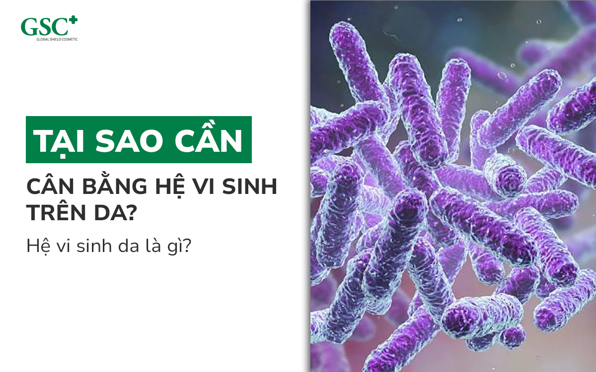 Cân bằng hệ vi sinh trên da