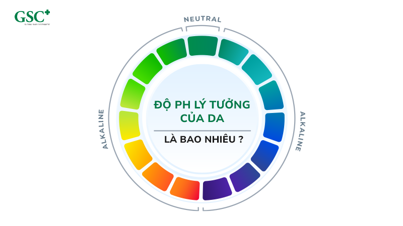 Độ pH lý tưởng của da là bao nhiêu