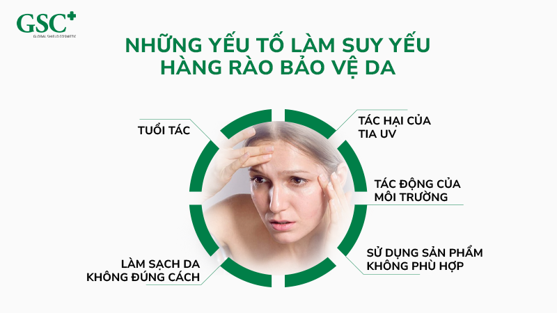 Yếu tố suy yếu hàng rào bảo vệ da