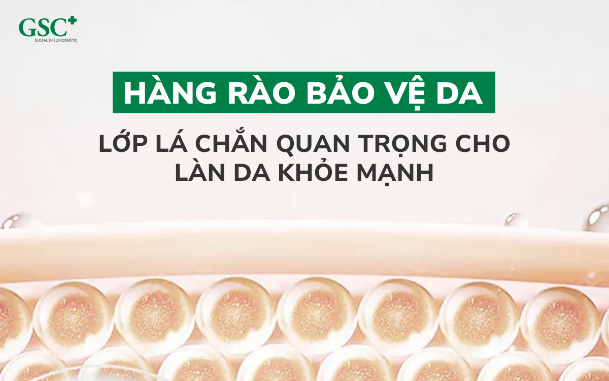 Hàng rào bảo vệ da