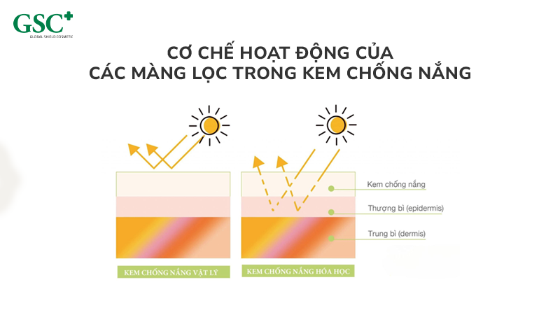 Cơ chế hoạt động của các màng lọc trong kem chống nắng
