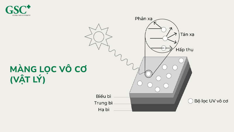 Màng lọc vô cơ (vật lý)