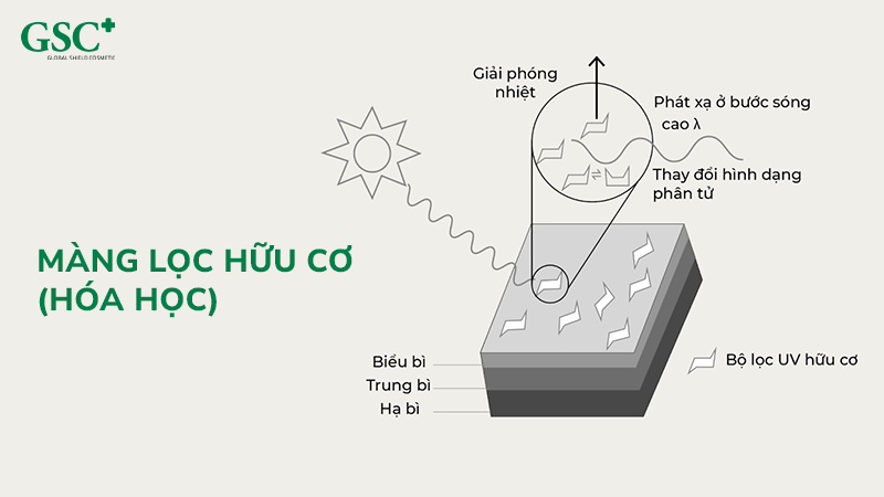 Màng lọc hữu cơ (hóa học)