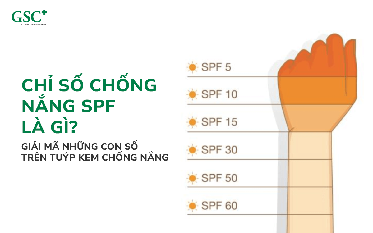 Chỉ số chống nắng SPF là gì