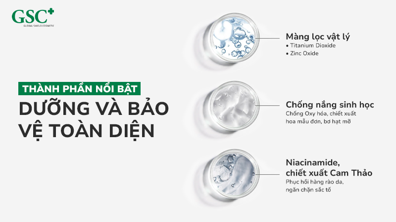 Thành phần nổi bật