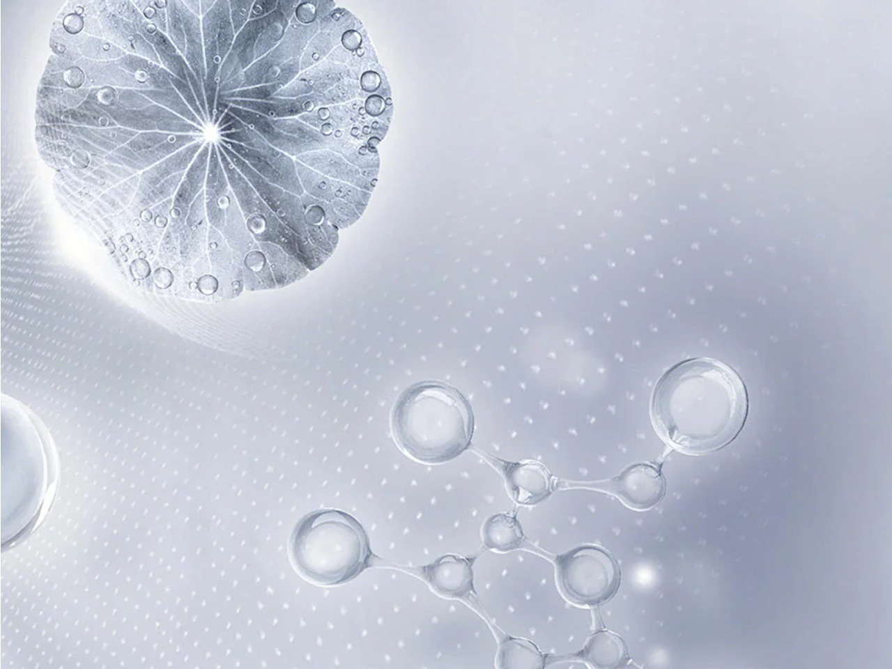 Ảnh nguyên liệu