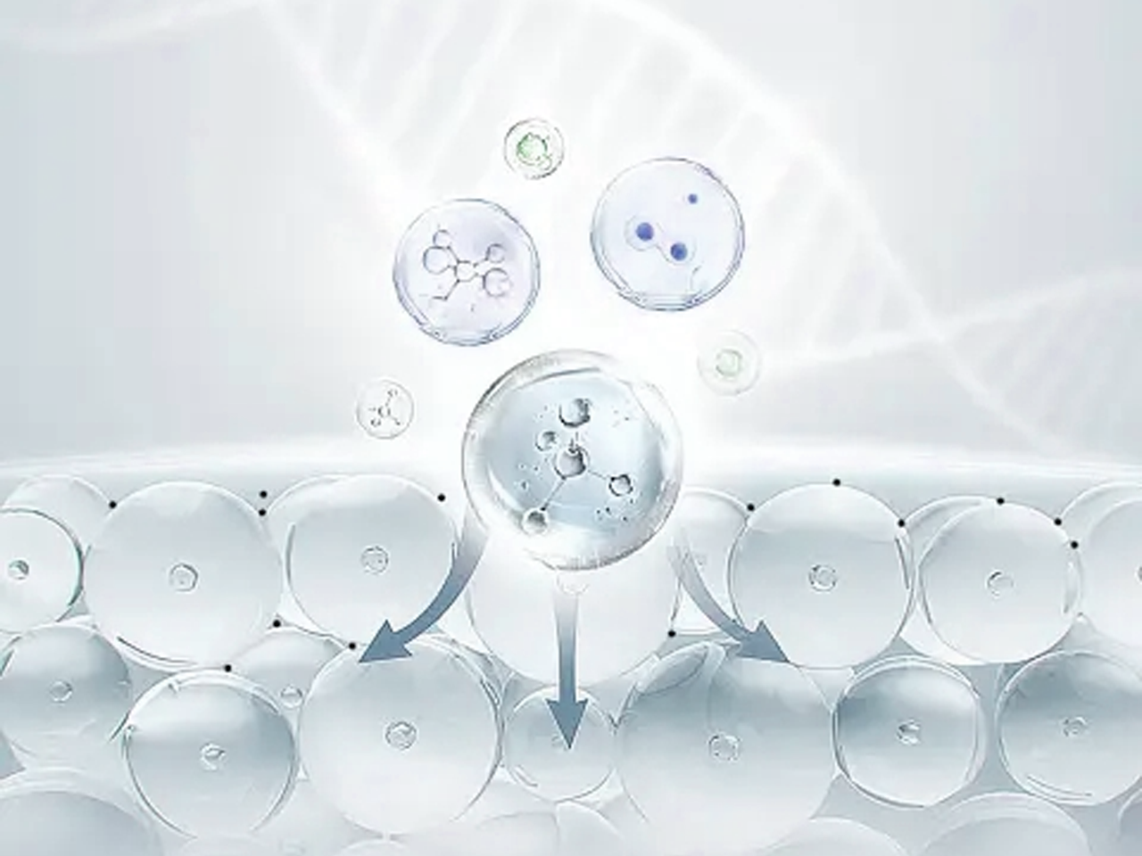 Ảnh nguyên liệu